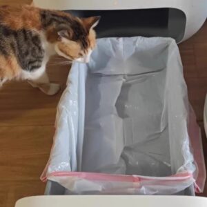 Certified Home Compostable Cat Litter Bags for Poop