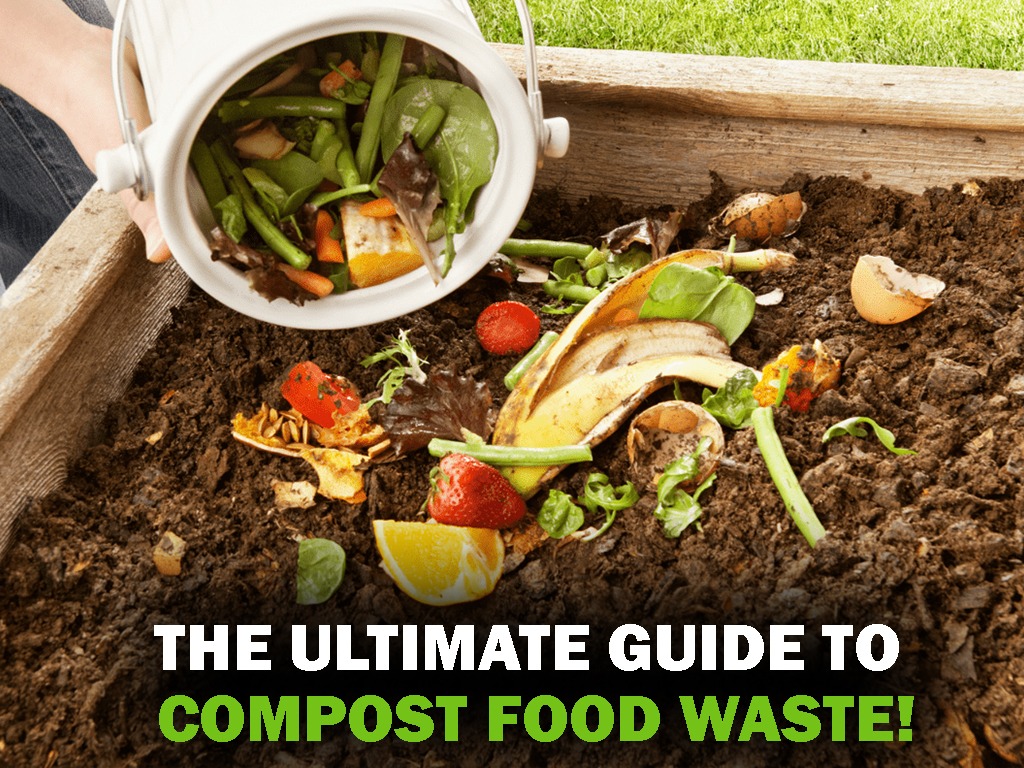 Composting biodegradable garbage bags with food waste