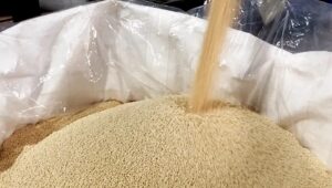 PLA and PBAT blend material for compostable bags