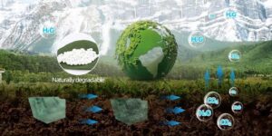 Compostable poly bag decomposing in natural soil