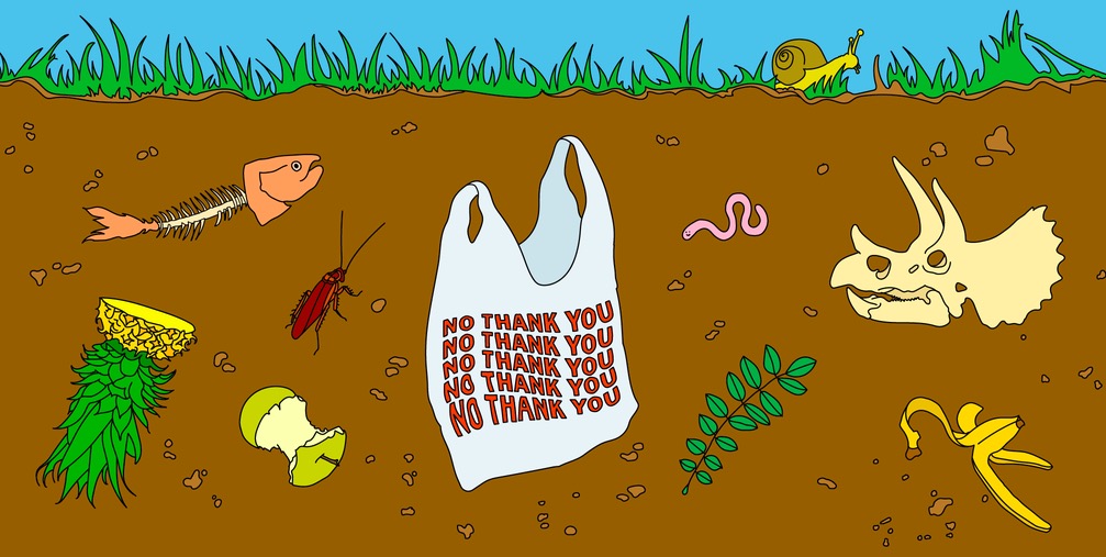 Compostable Bag