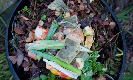 What Types of Tea Bags Are Compostable? Your Complete 2026 Guide 4 PLA tea bag still intact after one year in soil versus fully decomposed cellulose tea bag - PLA is not home compostable