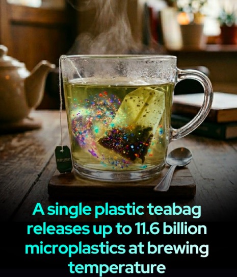 What Types of Tea Bags Are Compostable? Your Complete 2026 Guide 1 plastic polypropylene fibers in a tea bag releasing microplastics into hot water - not compostable