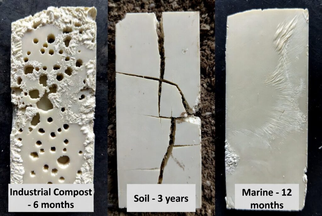 How Long Does It Take for Biodegradable Plastic to Decompose