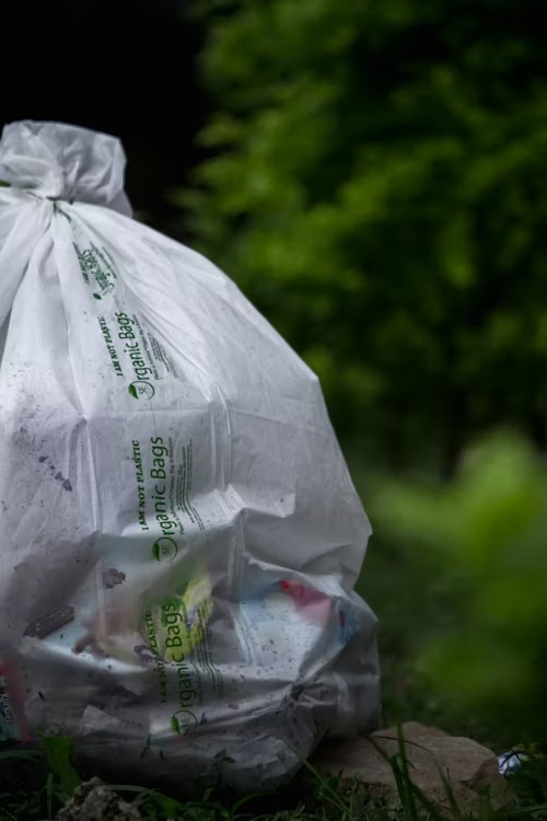 Biodegradable Waste Bags: Ultimate Guide 2026