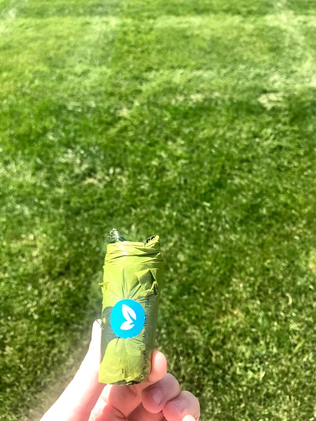 biodegradable dog poop bags