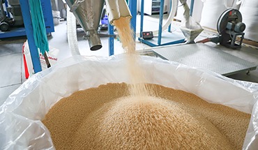 Compostable Packaging Material：Cornstarch-Based Materials